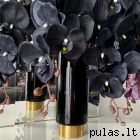 Juoda_orchideja